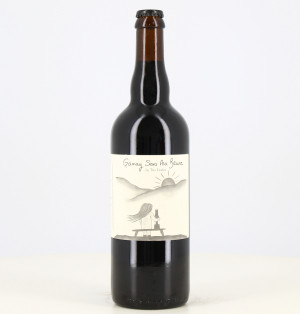 Dunkles Bier Gamay ohne ma Brune 9,7% Two Dudes 75cl