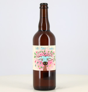 Bière blonde Wild Sour Creature gose baies rose 5% Two Dudes 75cl