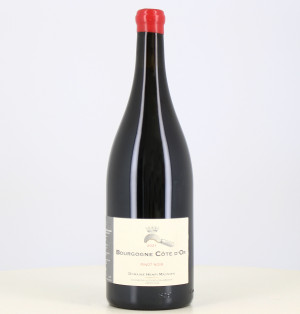 Magnum Rotwein Burgund Côte d'Or 2021 Henri Magnien