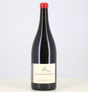 Vino tinto Magnum Gevrey Chambertin 2021 Henri Magnien