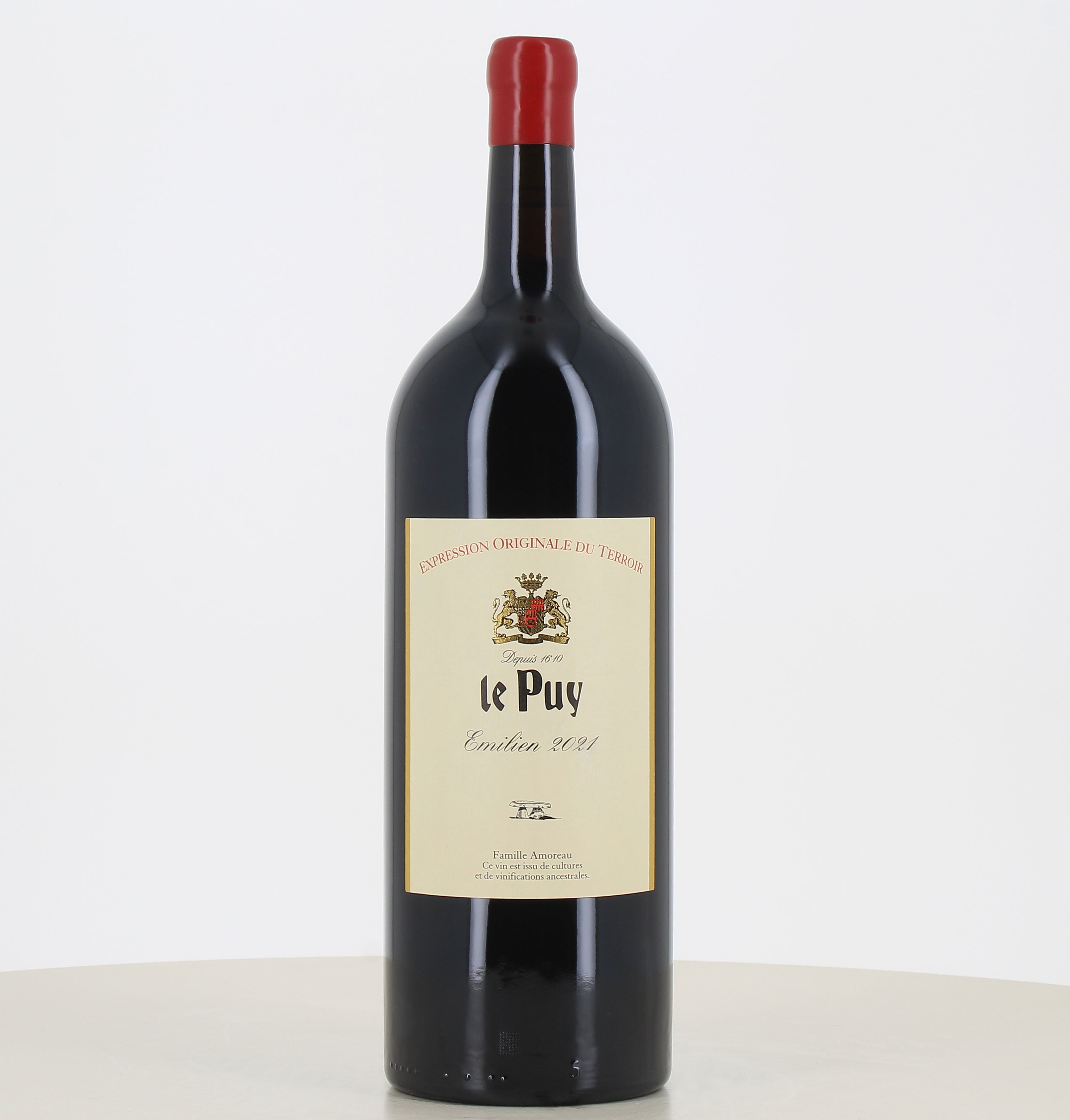 Magnum vin rouge Le Puy Emilien 2021 