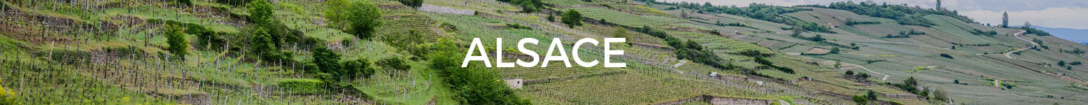 Magnums de vino blanco de Alsacia - Grandes Formatos