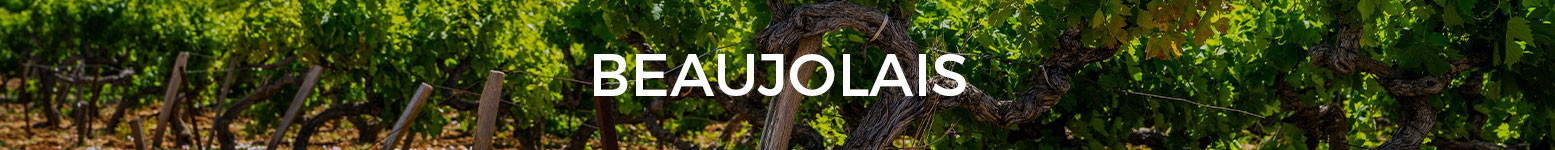 Beaujolais Vino Tinto Magnums - Grandes Formatos