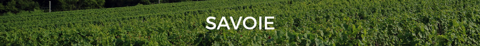 Savoy Tinto Magnum - Grandes Formatos