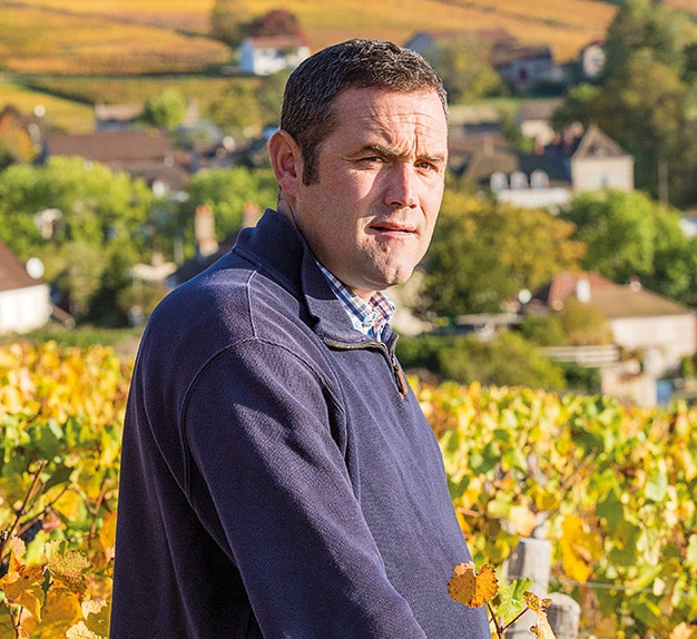 Domaine De Suremain