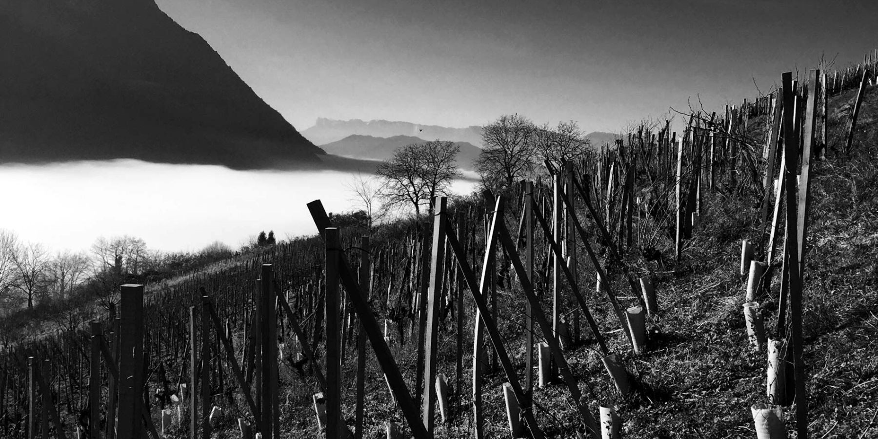 Domaine L'Aitonnement
